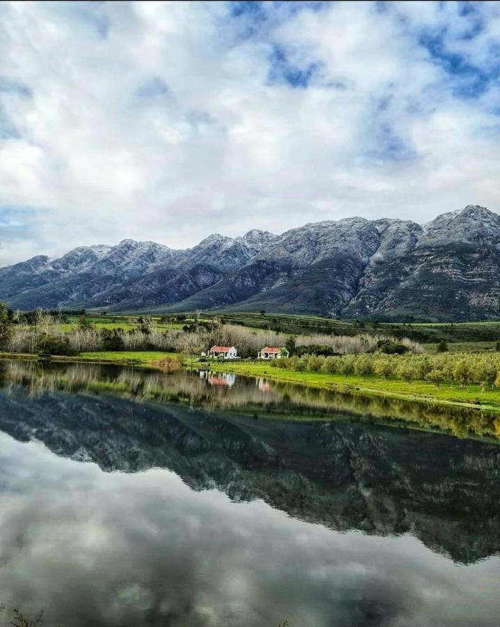 Fraaigelegen Farm - Home Of Adhara Evoo Тульбах Экстерьер фото